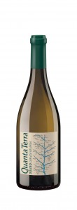 Quanta Terra Grande Reserva Branco_PVP 17,70EUR