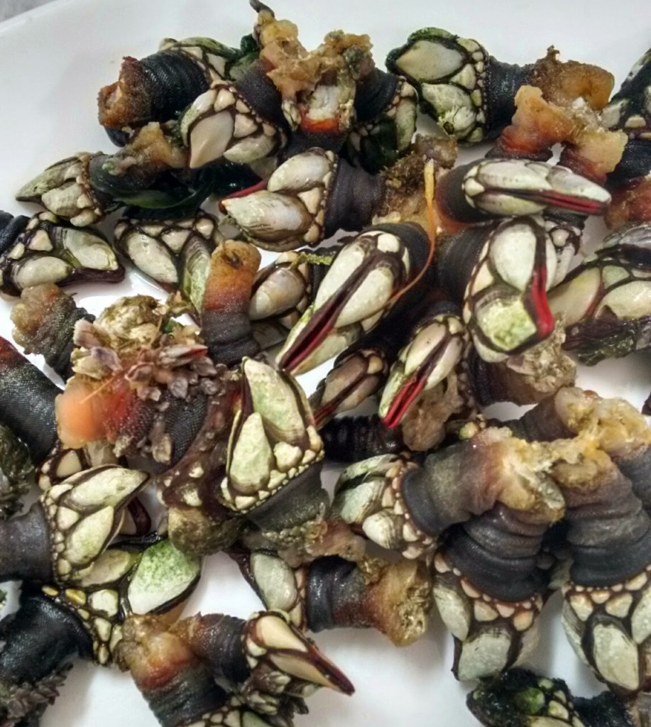 percebes